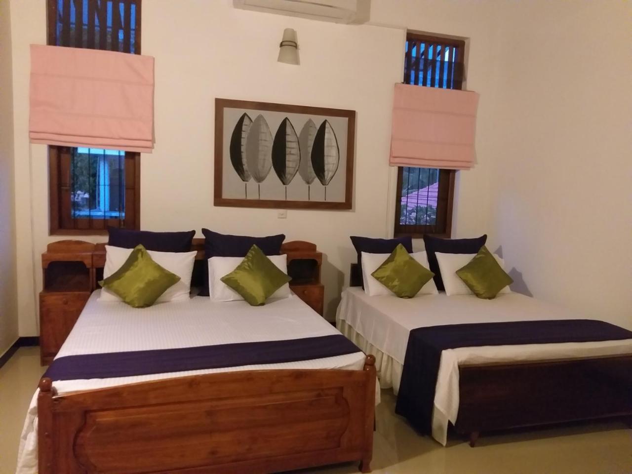 Cosy Nest Home Stay Negombo Eksteriør bilde